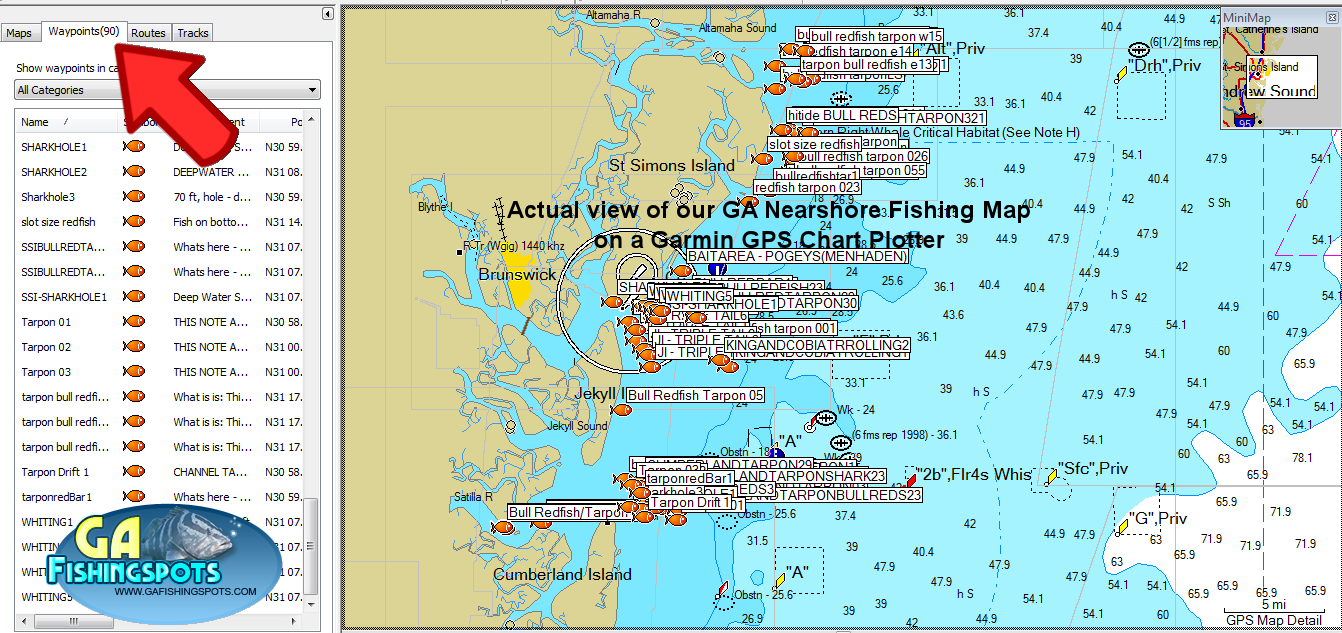 free fishing maps, Guide to Coastal Georgia Fishing Spots
